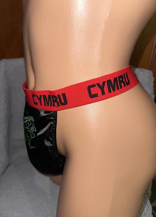 Нові тематичні труси стринги м 5