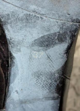 Черевики демісезонні 6