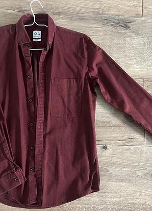 Чоловіча сорочка zara бордова