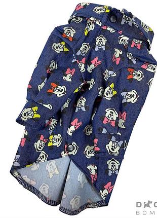 Сорочка dogs bomba миккi rub-36 2