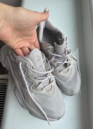 Кросівки adidas сірі оригінальні