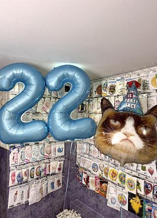 Кулька фольгована grumpy cat в ковпаку
