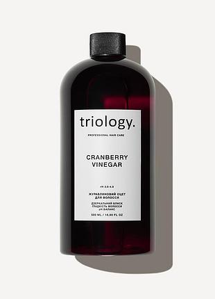 Журавлиновий оцет для волосся triology.