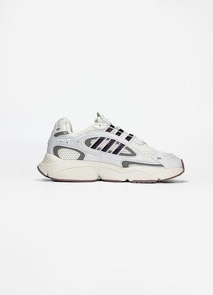 Adidas ozmillen beige/violet 6