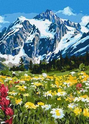 Картина за номерами - квіткове поле серед гір ©art_selena_ua
