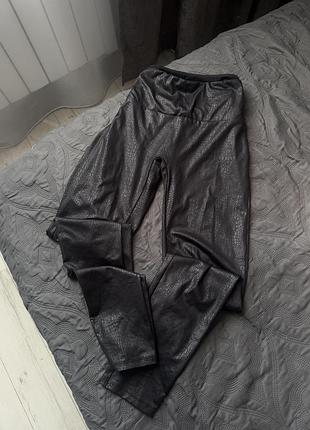 Лосіни calzedonia