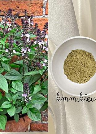 Аюрведический порошок туласи (тулси, tulsi) франция - 50г