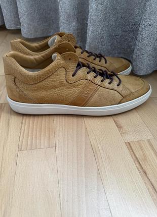Кеди чоловічі tod’s шкіряні коричневі