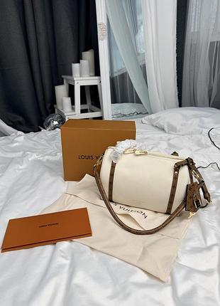 Сумка lv express bag