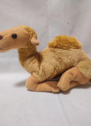 М'який одногорбий верблюд 🐫