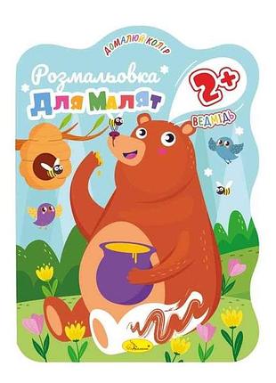 Раскраска медведь 2 в5 12арк рм-41-03 тм апельсин