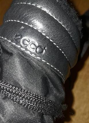 Зимние сапоги ecco winter zone p.36 5