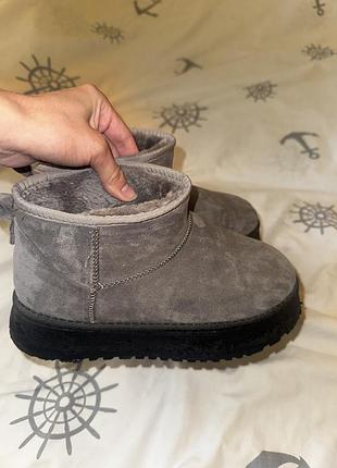 Чоботи жіночі ugg classic mini сірі 3