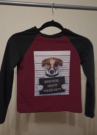 Реглан дитячий з нашивкою bad dog