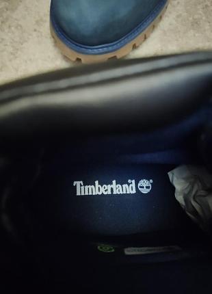 Черевики чоловічі timberland сині 7