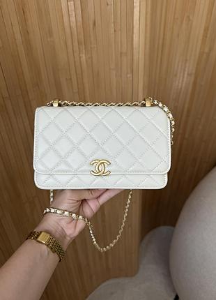 Жіноча сумка 10