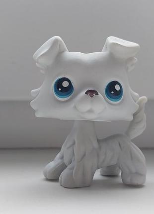 Літлс петшоп пет шоп собака коллі собачка lps littlest pet shop фігурка іграшка фігурки тварин іграшки пэт шопсы пэтшопсы питомцы лпс littels pet shop