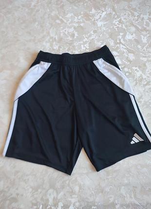 Шорти спортивні adidas 5