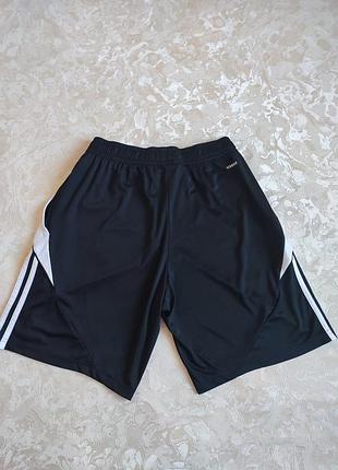 Шорти спортивні adidas 7