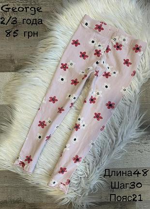 Лосіни 2/3 роки