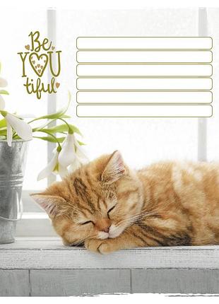 Тетрадь ученическая "кошка" 012-950515l-1 в линию, 12 листов