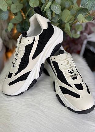 Кроссовки steve madden