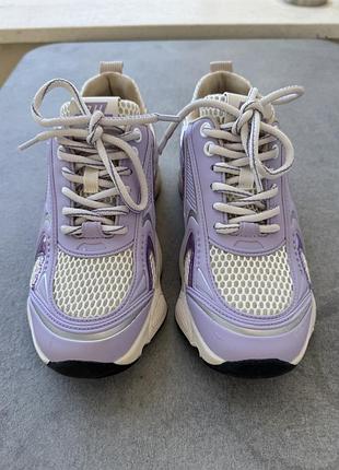 Кросівки steve madden оригінал