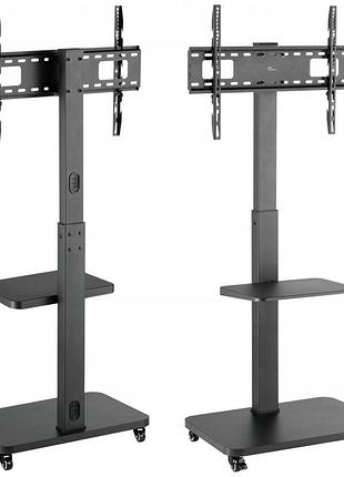 Стійка для телевізора tamdel 37–75" vesa до 600×400 вантажопідйомність 40 кг