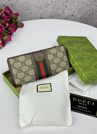 Gucci 17.5x8x2