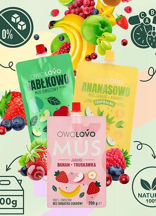 Мікс тропічних пюре owolovo 24x200g 5