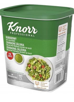 Набір з 2 штук соус для салату knorr огородній 700 г