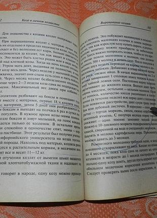 Коза в личном хозяйстве 3