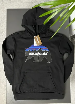 Худі patagonia bear