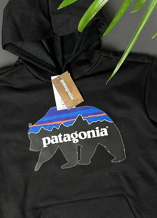 Худі patagonia bear 5