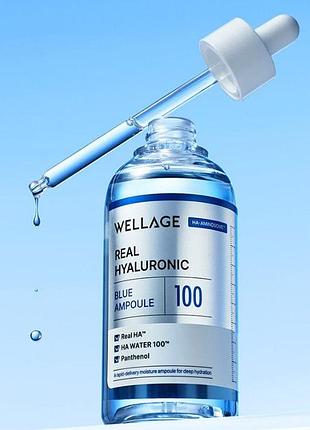 Сироватка для обличчя wellage real hyaluronic blue 100 ampoule, 60 мл