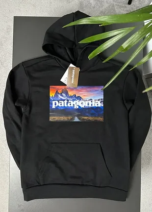 Худі patagonia mountains