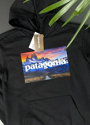 Худі patagonia mountains 3