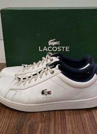 Кеди жіночі lacoste 3