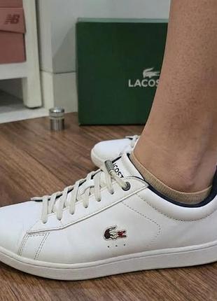 Кеди жіночі lacoste