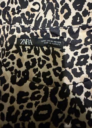 Шикарный боди zara 5