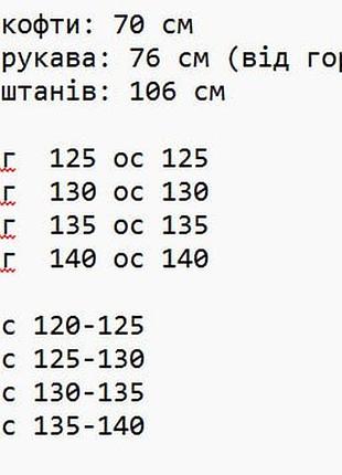 Костюм велюровый со стразами 2