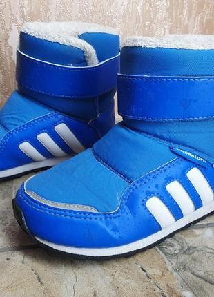 Adidas 24 р. primaloft 14, 5 см сапоги ботинки — цена 480 грн в каталоге  Ботинки ✓ Купить товары для детей по доступной цене на Шафе | Украина  #54885711