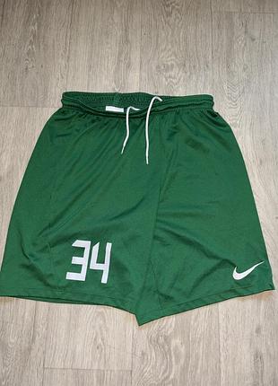 Спортивні шорти чоловічі nike dri-fit зелені розмір m