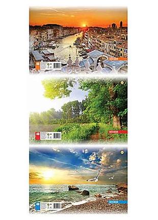 Зошит канцелярський а4 48арк.клітинка офсет, те13588 тм тетрада