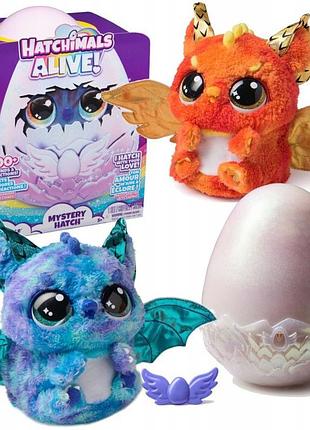 Hatchimals жива маскотка яйце інтерактивний дракон-сюрприз draggle