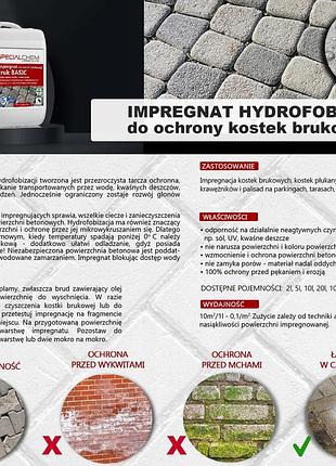 Specialchem basic impregnat для кам'яної бруківки 20л + рукавички 6