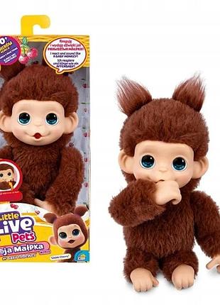 Іграшка little live małpka pets monkey interaktywна chikki cherry 26765 20 звуків