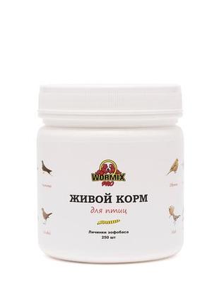 Корм для рептилій зофобаса