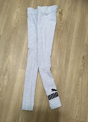 Лосини puma 4