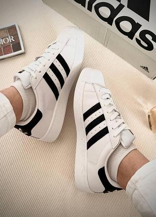 Adidas superstar classic white black | класичні білі шкіряні кеди | 36–44